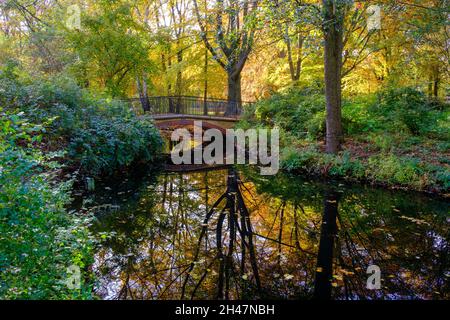 Parc Tiergarten de Berlin en automne Banque D'Images