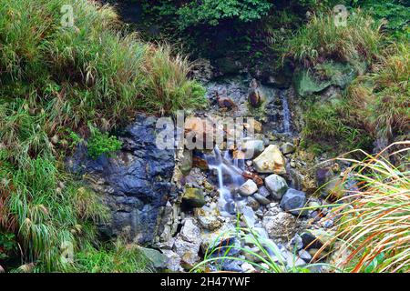 ruisseau tributaire du ruisseau Sulphur près du stationnement de Shanghuangxi, Yangmingshan, Taïwan Banque D'Images