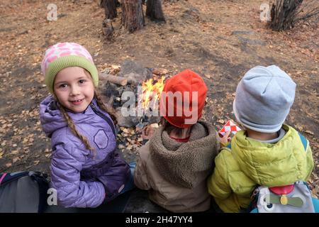 De dessus de fille positive près des amis sans visage regardant l'appareil-photo tout en s'asseyant près de bois de chauffage brûlant dans les bois d'automne pendant le camping Banque D'Images