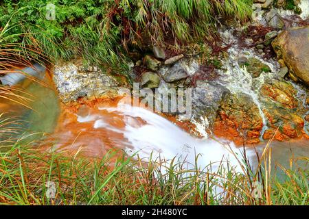 ruisseau tributaire du ruisseau Sulphur près du stationnement de Shanghuangxi, Yangmingshan, Taïwan Banque D'Images