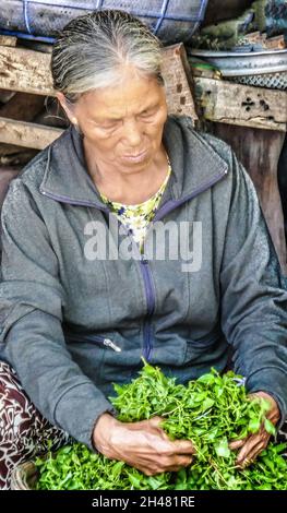 Ancienne femme vietnamienne vendant des herbes dans le marché de la rue Hoi Ann Banque D'Images
