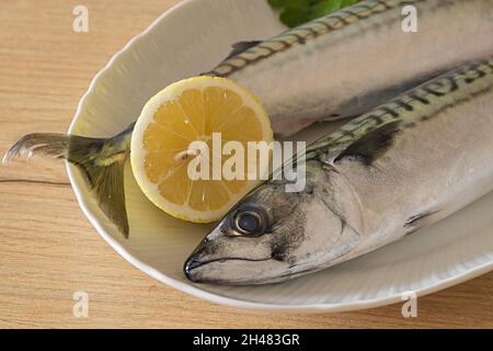 due sgombri nel piatto bianco con limone su tavolo di legno 4 Banque D'Images