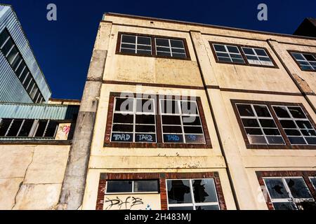 Détail extérieur des fenêtres écrasées à la dangereuse usine de lait torridge Vale avec Graffiti contre un ciel bleu vif, Great Torrington, Banque D'Images