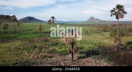 Magnifique paysage naturel connu sous le nom de Jardim de Maytrea dans le parc national de Chapada dos Veadeiros Banque D'Images