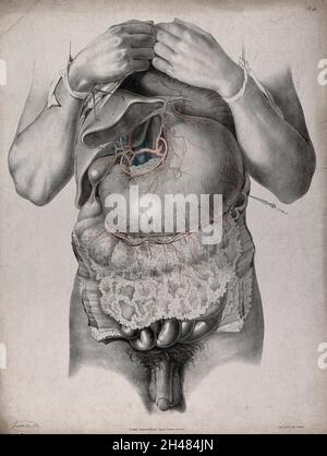 Le système circulatoire: Dissection de l'abdomen montrant l'estomac, avec les artères et les veines indiquées en rouge et bleu.Lithographie colorée par J. Maclise, 1841/1844. Banque D'Images