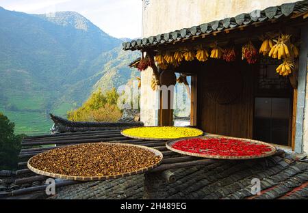 Maïs jaune, à Huangling, cette scène de séchant des cultures est appelée 'automne inny'.Un ancien village architectural de Huizhou dans le village de Huangling, Wuyu Banque D'Images