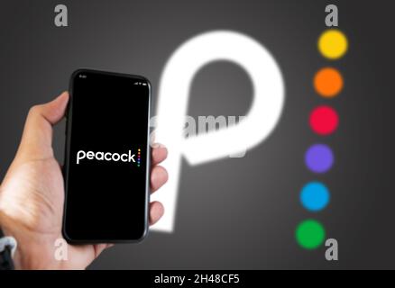 New York, Etats-Unis, septembre 2021 : main tenant un téléphone avec l'application mobile Peacock TV à l'écran et le logo Peacock TV flou sur fond gris. Banque D'Images