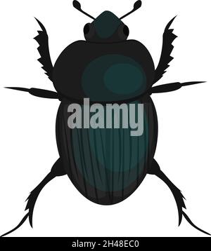 Insecte coléoptère, illustration, vecteur sur fond blanc. Illustration de Vecteur
