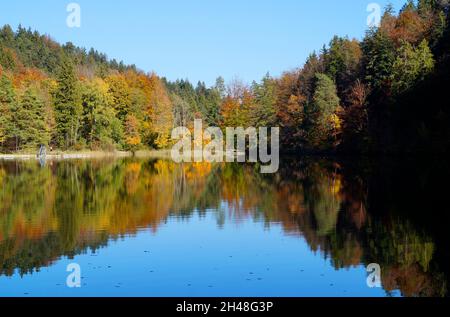 Une vue panoramique sur le lac vert émeraude Ober Voir près du lac Alatsee lors d'une belle journée d'automne (Bavière en Allemagne) Banque D'Images