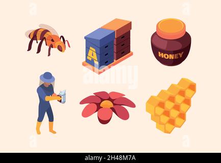 Isométrique apilaire.Ferme de miel et accessoires fleurs abeilles garder les clients nid d'abeilles grenat vecteur 3d illustrations ensemble Illustration de Vecteur