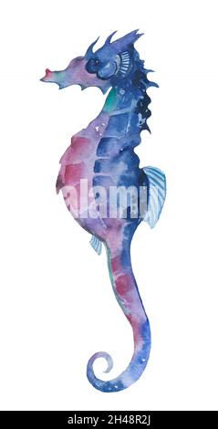 Illustration de l'aquarelle du cheval de mer dans l'océan sous l'eau. Monde sous-marin. Illustration de conte de fées pour l'inspiration Banque D'Images