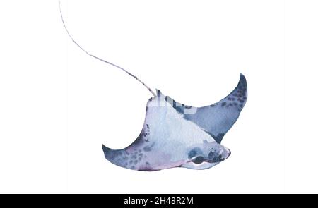 Collection d'aquarelles Stingray, ensemble d'animaux marins Blue Ocean Stingray Fish. Illustration nautique peinte à la main d'aquarelle bleue, sous-marin réaliste Banque D'Images
