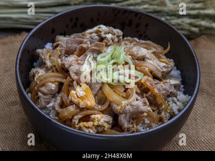 Bol de riz de porc japonais avec œuf et oignon (Donburi) sur table en bois.Cuisine japonaise. Banque D'Images