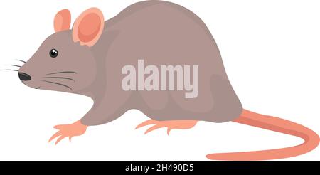 Rat gris, illustration, vecteur sur fond blanc. Illustration de Vecteur