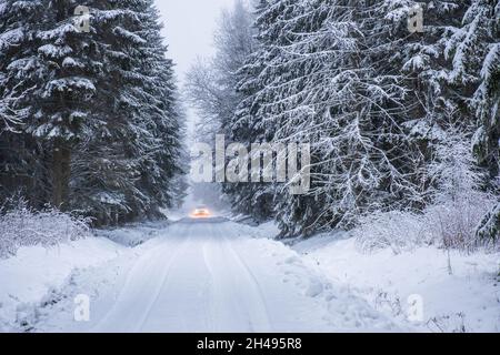 Voiture sur une route enneigée dans la forêt Banque D'Images