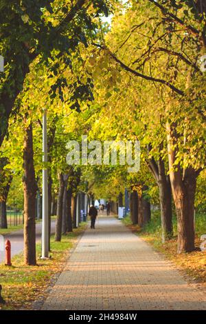 Parc aux couleurs de l'automne.Sopot, Pologne. Banque D'Images