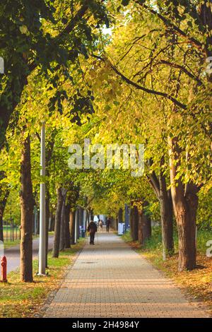 Parc aux couleurs de l'automne.Sopot, Pologne. Banque D'Images