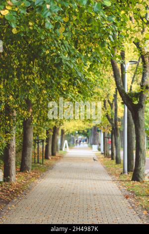 Parc aux couleurs de l'automne.Sopot, Pologne. Banque D'Images