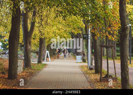 Parc aux couleurs de l'automne.Sopot, Pologne. Banque D'Images