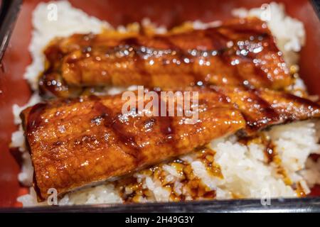 Gros plan sur Unagi Don, riz à l'anguille grillé japonais. Banque D'Images