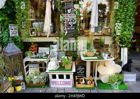 Belle exposition de Blumen-Galerie Schneiders dans la destination touristique populaire de la vieille ville. Un magasin local typique pour les fleurs et la décoration de la maison. Banque D'Images