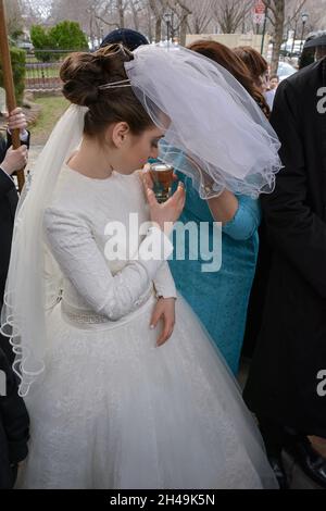 Une mariée juive orthodoxe boit une gorgée de vin sous un chuppah pendant sa cérémonie de mariage.À Brooklyn, New York. Banque D'Images