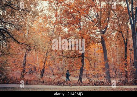 Homme de course mixte court sur piste en automne paysage en veste noire et bonnet.Sain et en forme jeune homme brun-peau court au centre de la treescape.Feuilles Banque D'Images