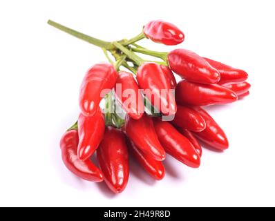 Poivrons Tabasco isolés sur fond blanc Banque D'Images