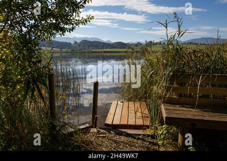 Lieu de baignade secret sur le lac avec des roseaux et des nénuphars et en arrière-plan les Alpes Banque D'Images