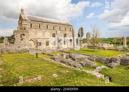 Buttercups en mai au Prieuré de St Mary, prieuré bénédictin fondé en 1091, dans le village de Binham, Norfolk, Royaume-Uni Banque D'Images