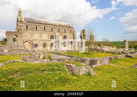 Buttercups en mai au Prieuré de St Mary, prieuré bénédictin fondé en 1091, dans le village de Binham, Norfolk, Royaume-Uni Banque D'Images