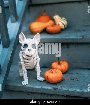 BRISTOL, ÉTATS-UNIS - 21 octobre 2021 : squelette de chien et citrouilles sur l'ancien escalier en bois - décorations d'Halloween d'une maison Banque D'Images