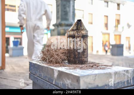 Gros plan de l'abeille fumeur à côté des feuilles de pin sur une ruche. Banque D'Images