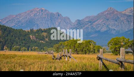 Ancienne clôture en bois sur les champs d'herbe du quartier historique de Mormon Row dans le parc national de Grand Teton Banque D'Images