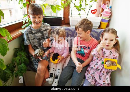 Quatre enfants tiennent leurs animaux préférés dans les mains.Enfants jouant avec un hamster, une tortue à la maison. Banque D'Images