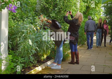 Royal Botanic Gardens Kew, Middlesex, Royaume-Uni vues et angles sur les célèbres jardins de Kew, Middx, Royaume-Uni ici deux femmes visiteurs se rapprochent et se font un peu plus. Banque D'Images