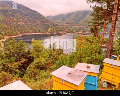 Ruches au réservoir Vacha Dam, montagnes Rhodope, Plovdiv, Bulgarie Banque D'Images