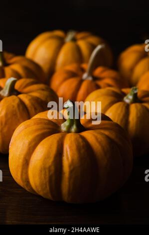 Petits citrouilles sur une table avec fond noir Banque D'Images