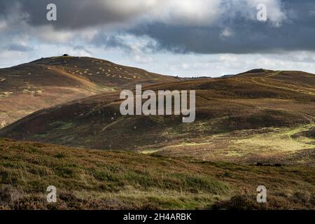 Vue sur Moel Famau depuis la colline de Moel Arthur Banque D'Images