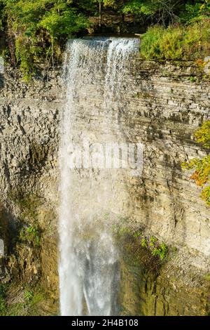 Vue fascinante des chutes de TEW à travers les arbres forestiers à croissance épaisse au Canada Banque D'Images