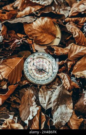 Ancienne boussole dorée parmi les feuilles sèches de la forêt en automne Banque D'Images