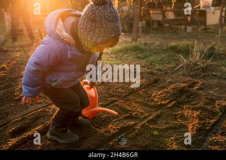 Un tout-petit garçon arrose des plantes fraîchement plantées avec de l'eau à l'orange Banque D'Images