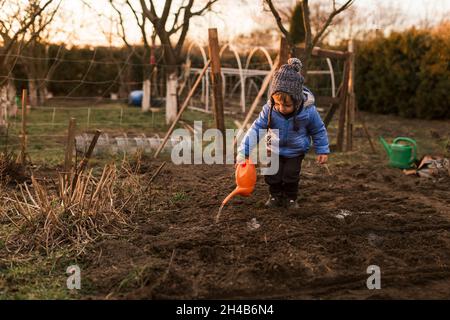 Un tout-petit garçon arrose des plantes fraîchement plantées avec de l'eau à l'orange Banque D'Images