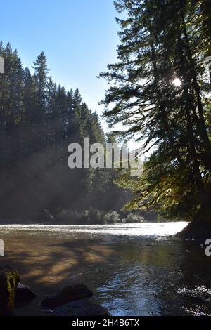 La rivière Lower Lewis en contrebas des cascades, un lieu de randonnée et de camping populaire, à la fin de l'été. Forêt nationale Gifford Pinchot, État de Washington, États-Unis. Banque D'Images