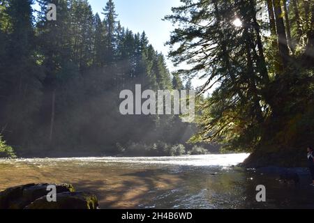 La rivière Lower Lewis en contrebas des cascades, un lieu de randonnée et de camping populaire, à la fin de l'été. Forêt nationale Gifford Pinchot, État de Washington, États-Unis. Banque D'Images