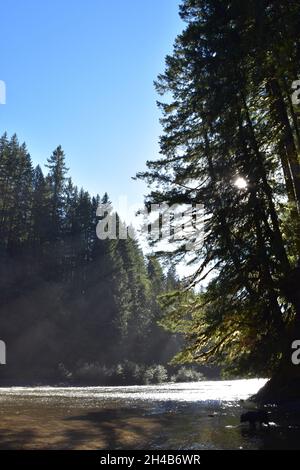 La rivière Lower Lewis en contrebas des cascades, un lieu de randonnée et de camping populaire, à la fin de l'été. Forêt nationale Gifford Pinchot, État de Washington, États-Unis. Banque D'Images