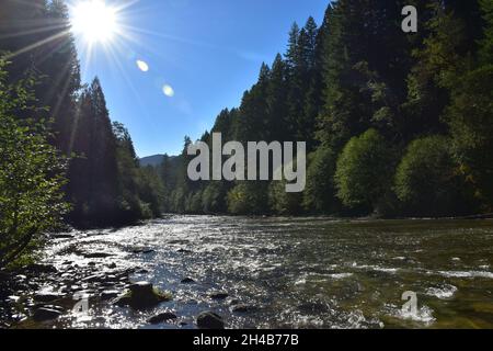 La rivière Lower Lewis en contrebas des cascades, un lieu de randonnée et de camping populaire, à la fin de l'été. Forêt nationale Gifford Pinchot, État de Washington, États-Unis. Banque D'Images