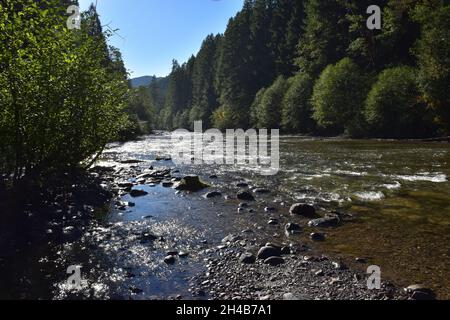 La rivière Lower Lewis en contrebas des cascades, un lieu de randonnée et de camping populaire, à la fin de l'été. Forêt nationale Gifford Pinchot, État de Washington, États-Unis. Banque D'Images