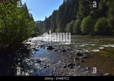 La rivière Lower Lewis en contrebas des cascades, un lieu de randonnée et de camping populaire, à la fin de l'été. Forêt nationale Gifford Pinchot, État de Washington, États-Unis. Banque D'Images