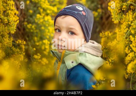 Portrait d'un petit garçon en chapeau entouré de fleurs jaunes Banque D'Images